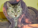 Cuddled in