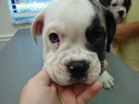 Cutest face ever