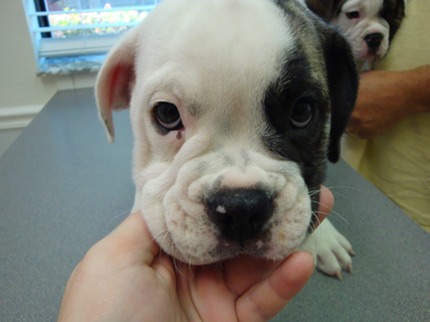 Cutest face ever