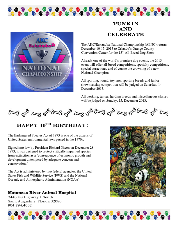 Tune In and Celebrate - December A